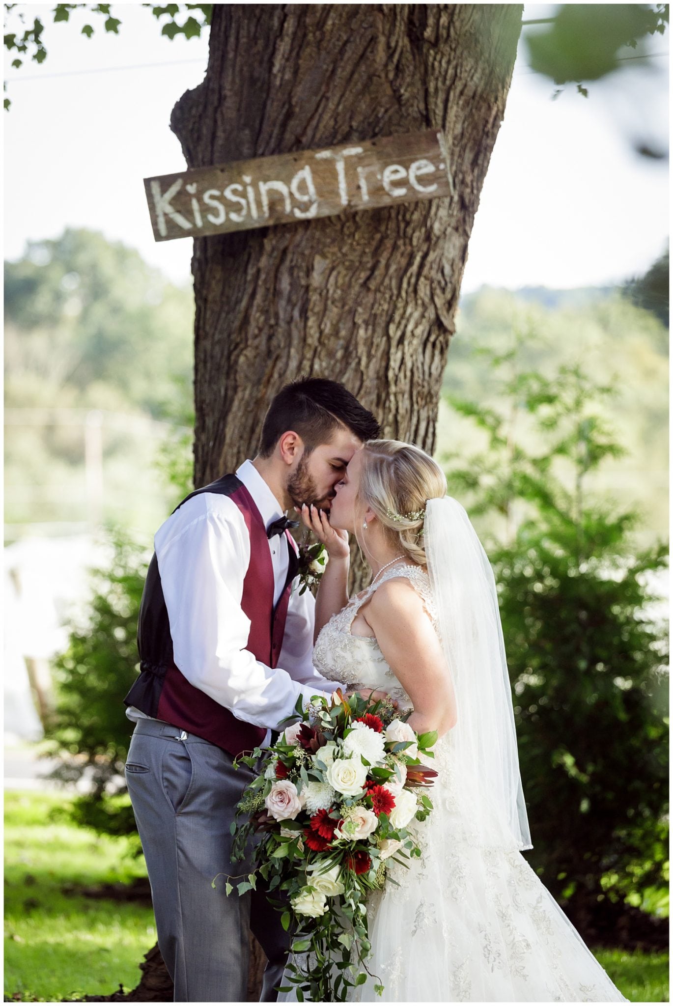 kissing tree shot at armstrong valley winery