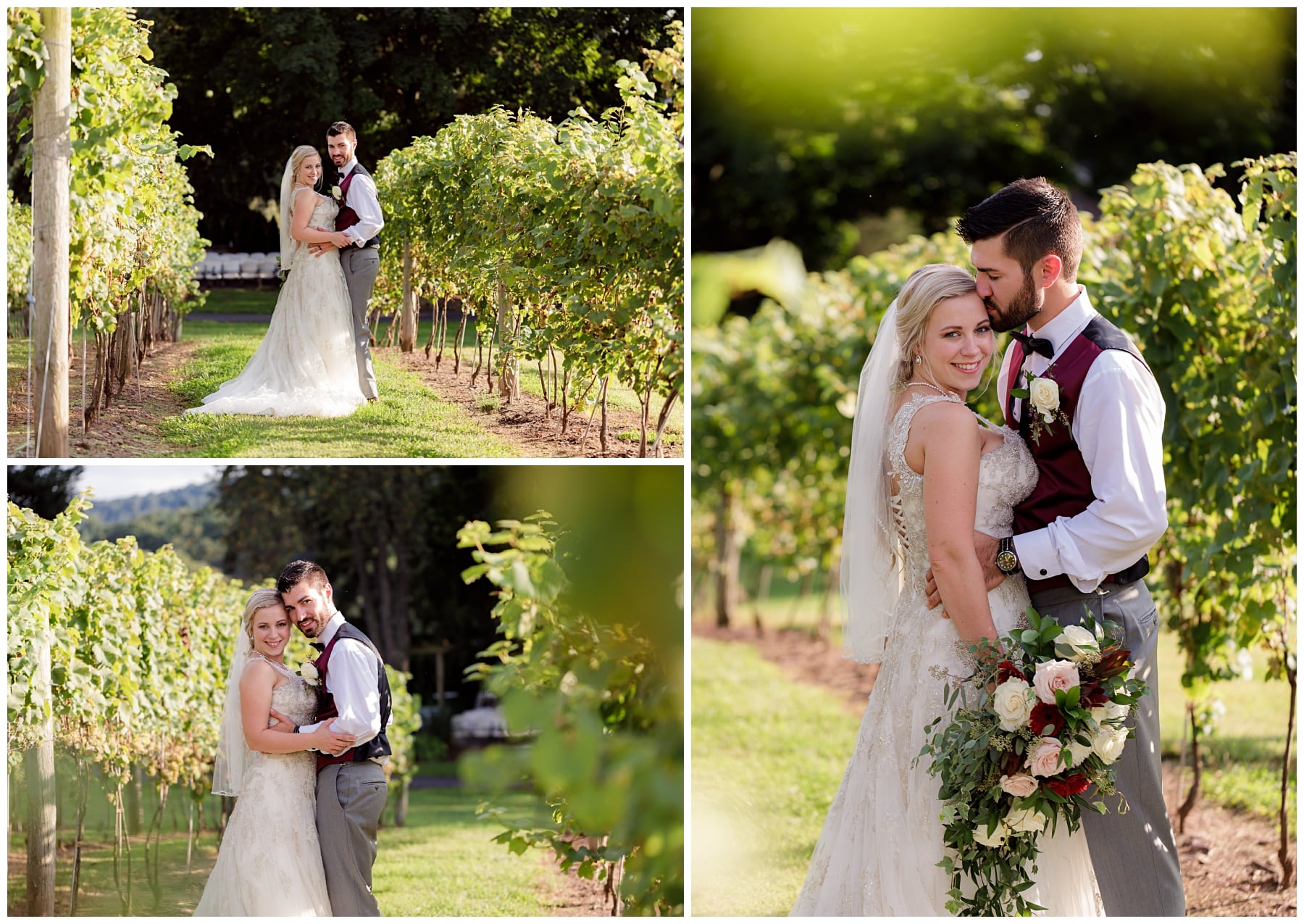 bride and groom in grapevines